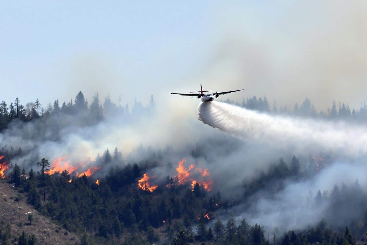 Canadair CL-215 pélican : avion bombardier d'eau de la sécurité civile française