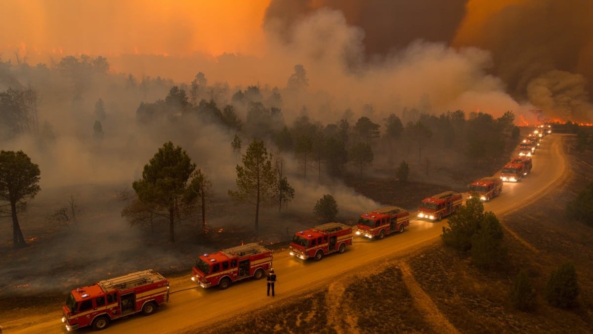 Canicule en Turquie : plus de 850 engins mobilisés contre les incendies de forêt