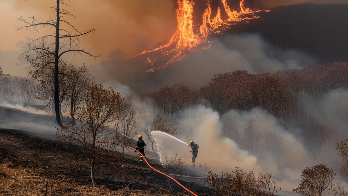 Feu de forêt à Châtillon-en-Diois : 200 hectares menacés malgré l’action des pompiers