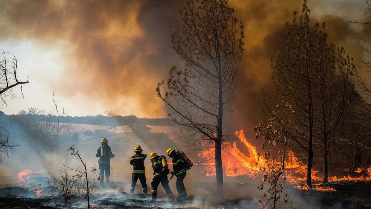 Forêt en flammes au sud de Rennes : intervention massive des pompiers à Guipry-Messac