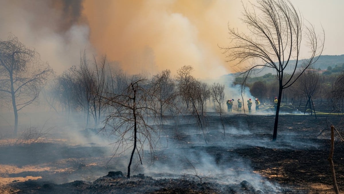 Gard : l’incendie de Roquemaure maîtrisé après avoir ravagé 35 hectares