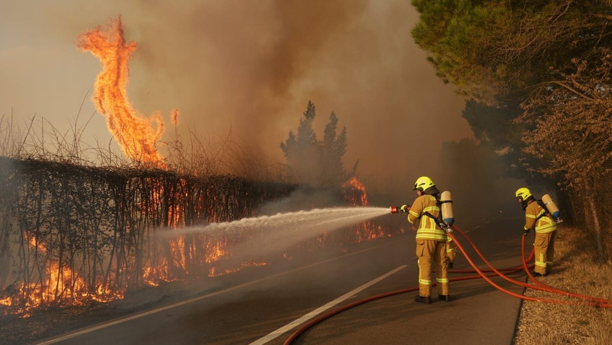 Incendie à Cotignac : pompiers en action sur un champ et une haie en bord de route