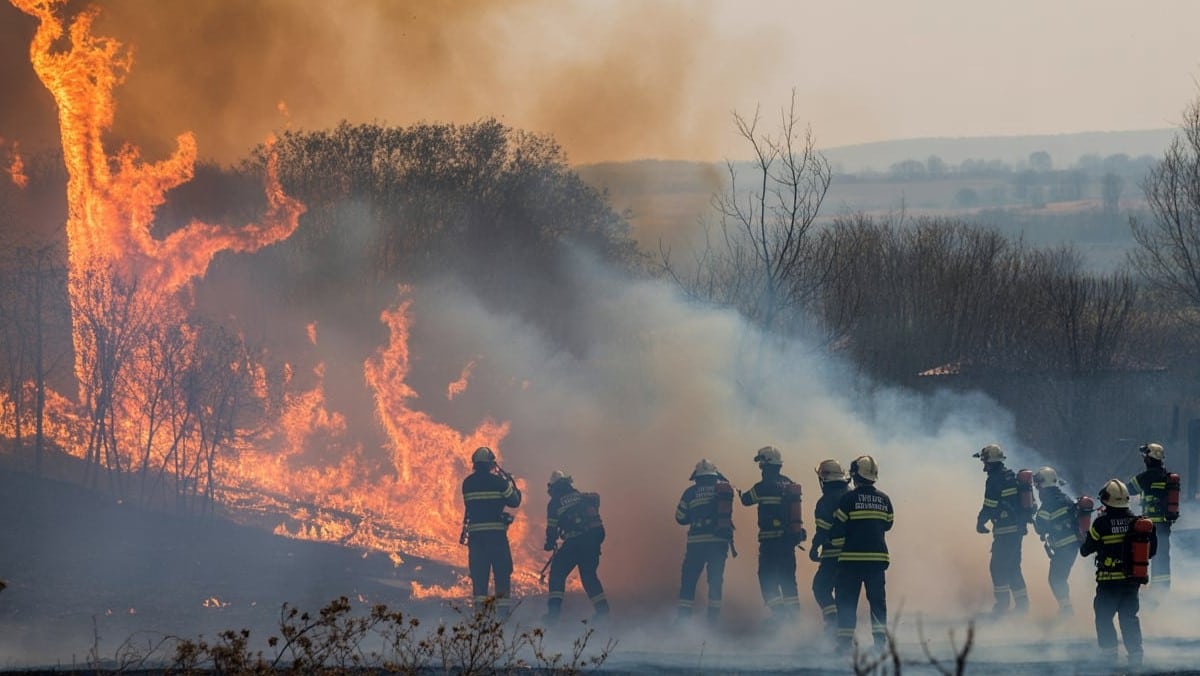 Incendie à Garons : 50 pompiers luttent contre un feu qui a déjà brûlé un hectare