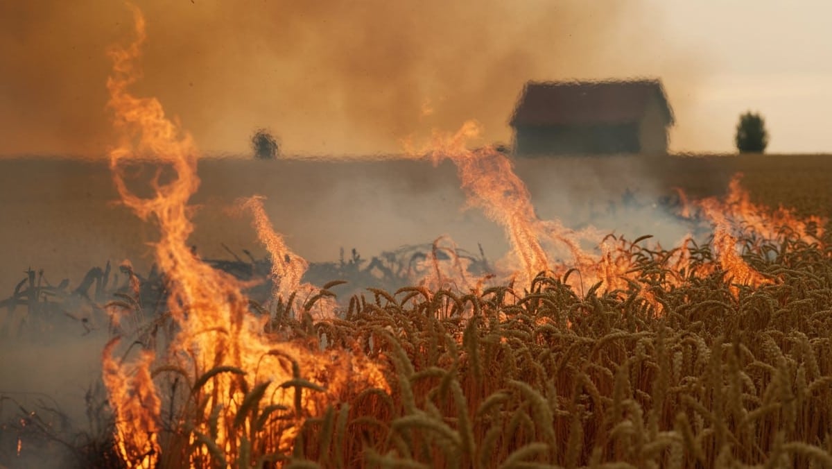 Incendie agricole en pleine canicule : les récoltes évitées de justesse