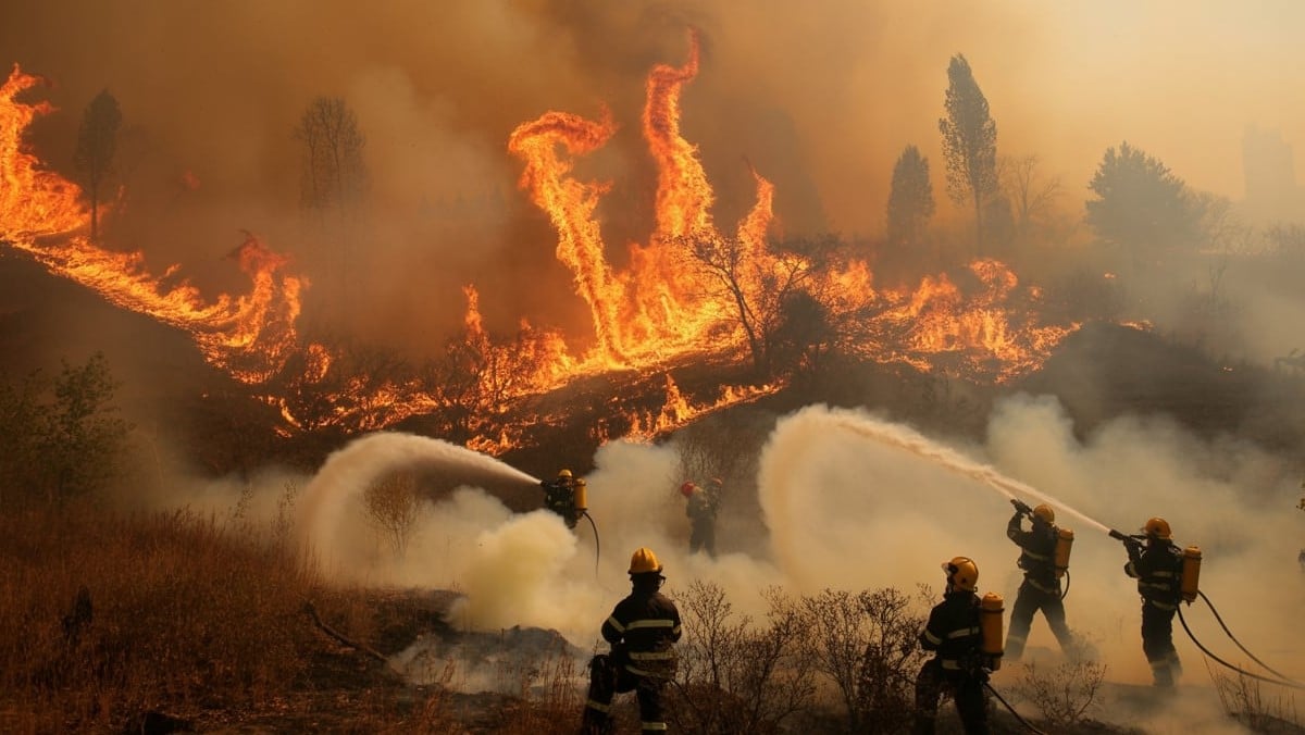 Incendie au Rove : 350 pompiers luttent contre 100 hectares déjà touchés