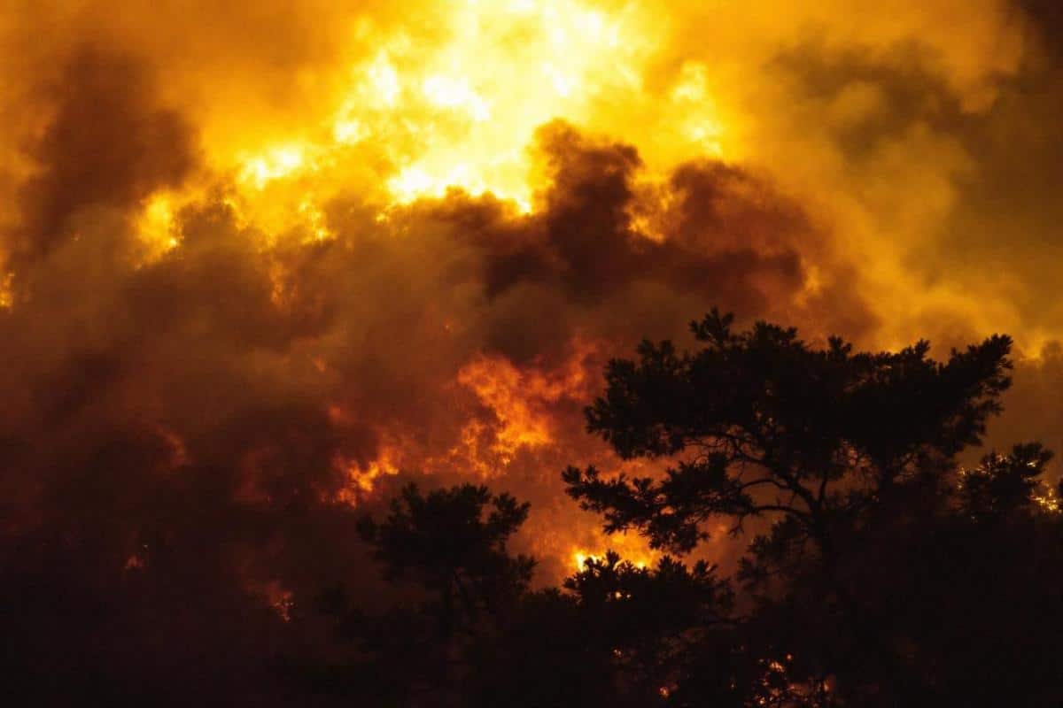Incendie à Castellar près de l'Italie : 40 pompiers mobilisés samedi soir