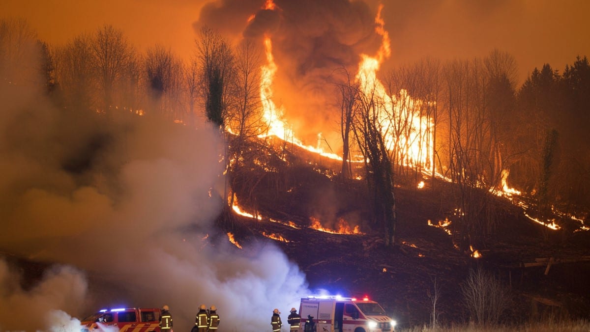 Incendie dans une forêt du Bas-Rhin : circulation interrompue et 70 pompiers mobilisés