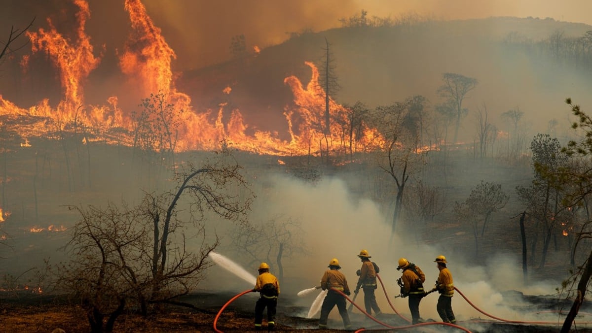 Incendie dans l’Aude : 600 hectares ravagés, 650 pompiers mobilisés et 5 000 foyers plongés dans le noir