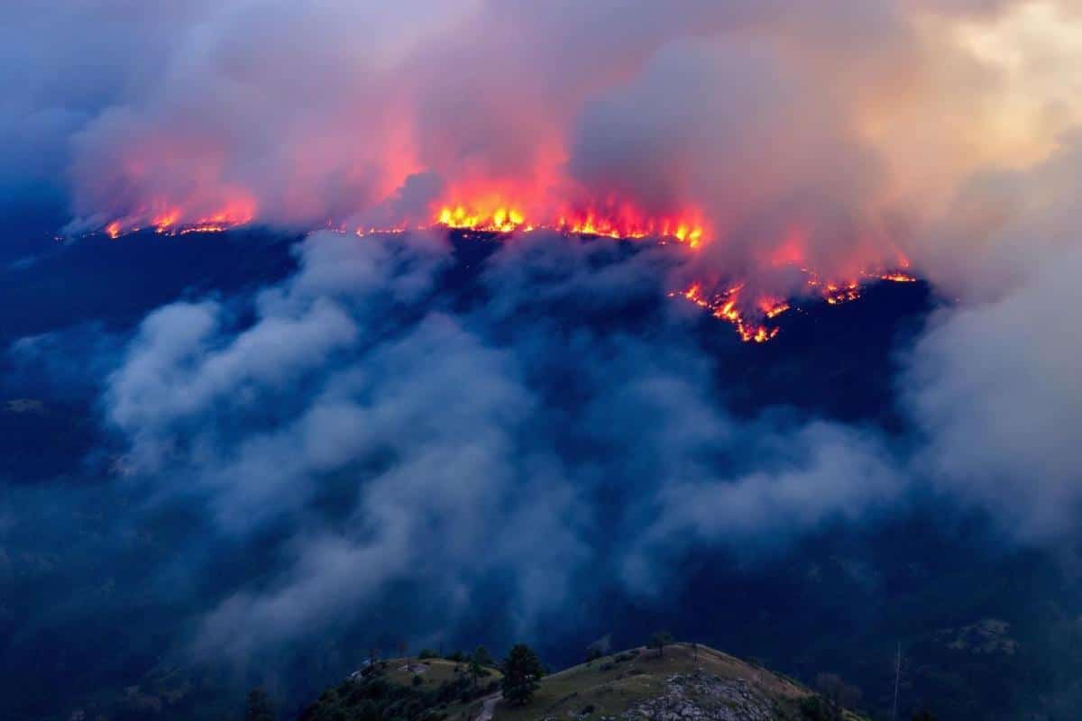Incendie en forêt dans les Pyrénées : relief complique l'accès, secours mobilisés