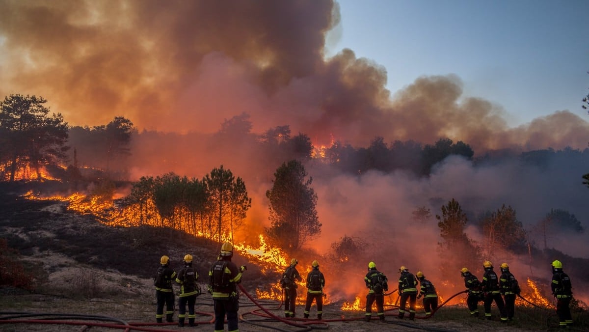 Landes : 28 feux de forêt mobilisent 194 pompiers et détruisent plus de 31 hectares