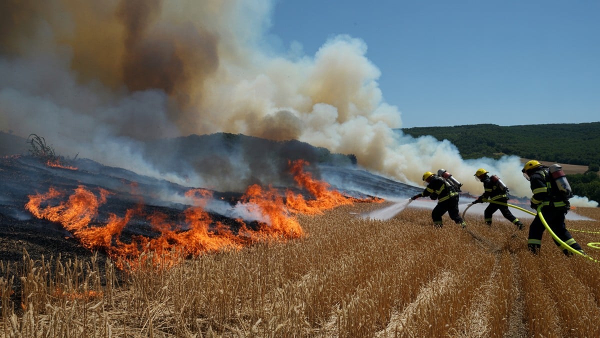 Nouvelle vague de feux de récolte en Aveyron : intervention rapide des sapeurs-pompiers