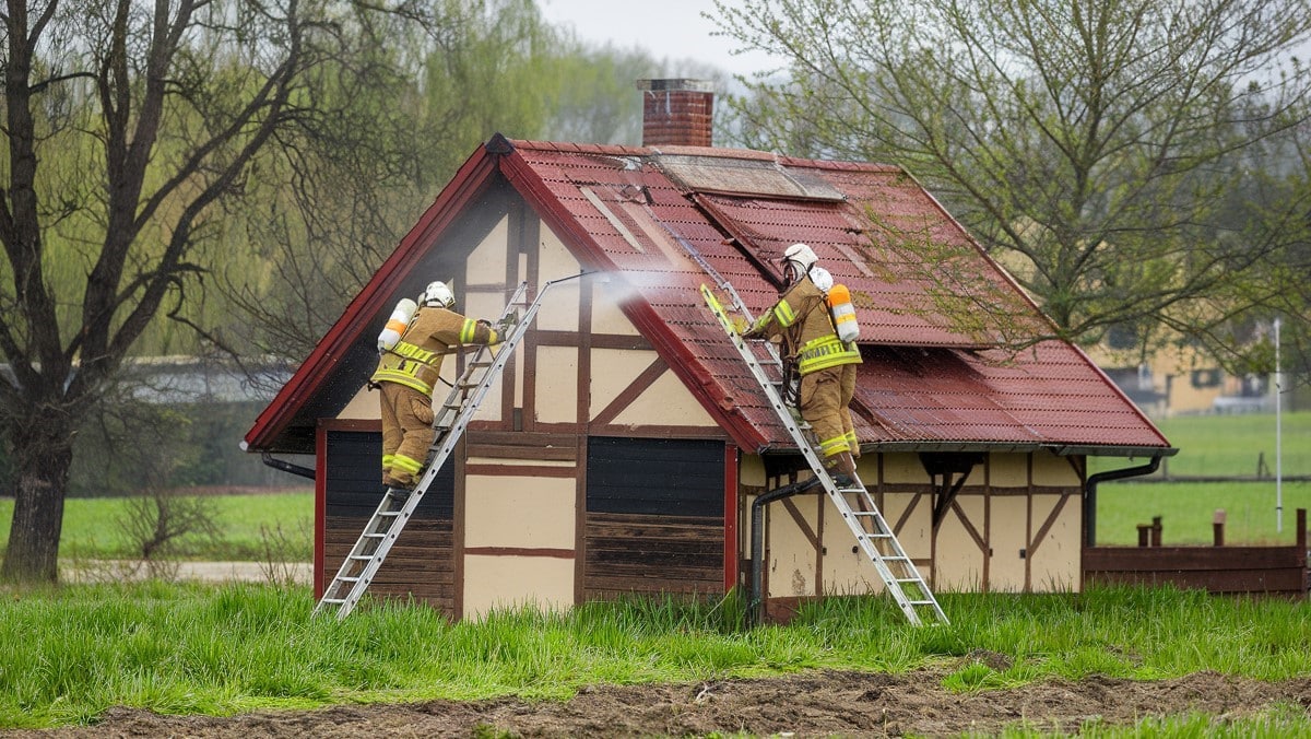 Le rôle des pompiers dans la gestion des essaims d’abeilles en milieu urbain
