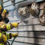 Pompiers détruisant nid de guêpes